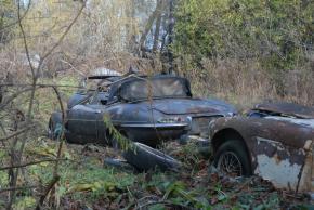 Jaguar E-Type photo